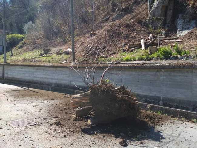 55611060 10218499076098310 329843992160108544 n