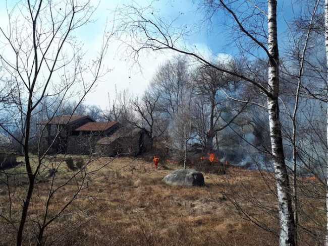 55644695 10218480640272450 3952887238366330880 n