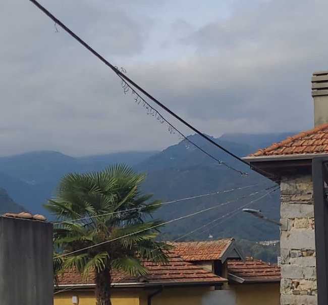 Borca disagi linee elettriche