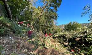 Domenica 10 settembre volontari VVF 2