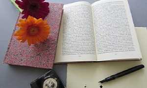 Elisabetta Cametti270