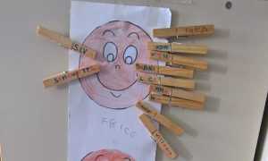 FESTA ASILO PETTENASCO