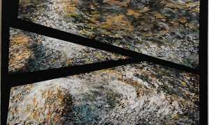 Pettenasco mostrafoglietta