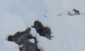 Schermata 2019 12 02 alle 10.19.31