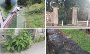 Schermata 2024 09 16 alle 15.06.08