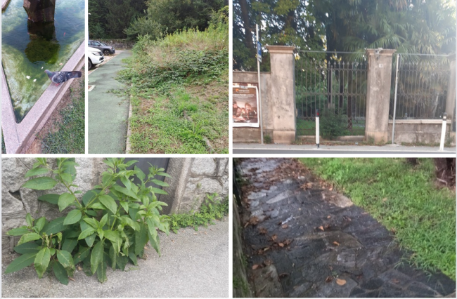 Schermata 2024 09 16 alle 15.06.08