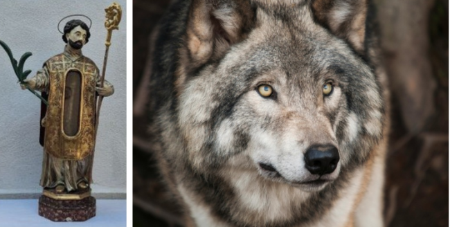 Schermata 2025 02 11 alle 12.00.55