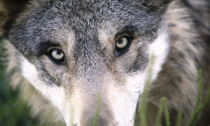 Screenshot 2024 02 25 alle 09.04.22