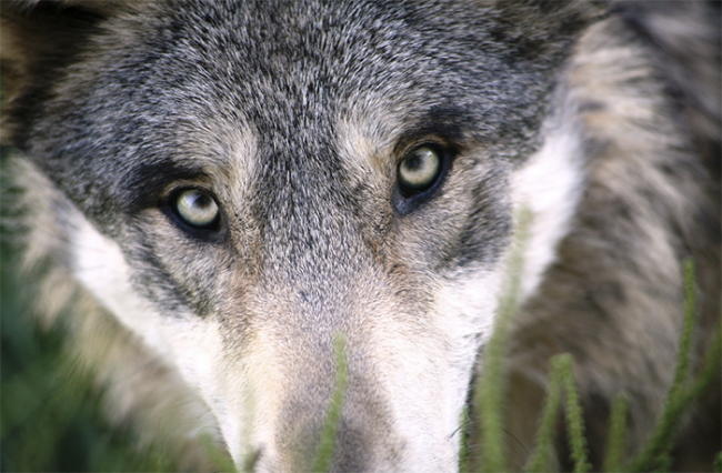 Screenshot 2024 02 25 alle 09.04.22