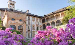 Villa nigra fiori