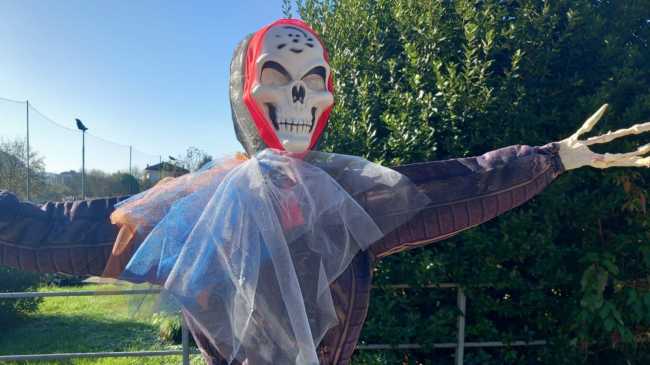 WhatsApp Image 2024 10 31 at 11.21.163