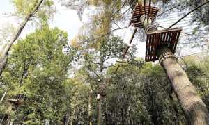 adventure park