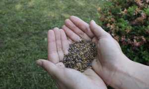 agrano api