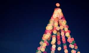 albero natale luci