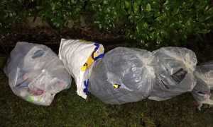 armeno abbandono rifiuti