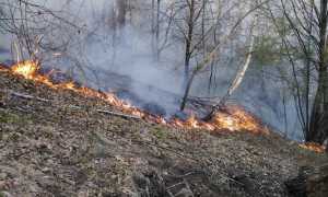 armeno incendio 1