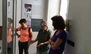 associazione pattaroni