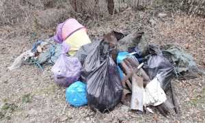 casale cc rifiuti raccolti