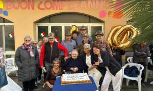 cento anni covino carla