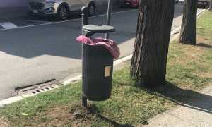 cestino viatiroasegno