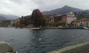 ciqnuestelle elezioni 270