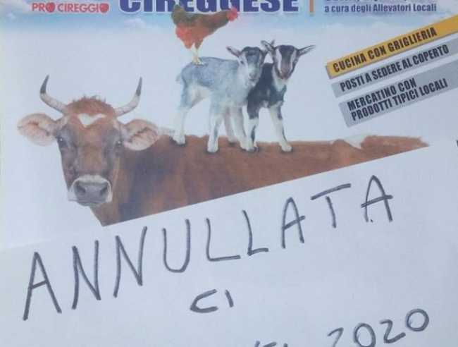 fiera cireggese annullata