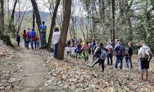 girolago bimbi repertorio 24