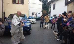gravellona benedizione animali