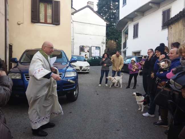 gravellona benedizione animali