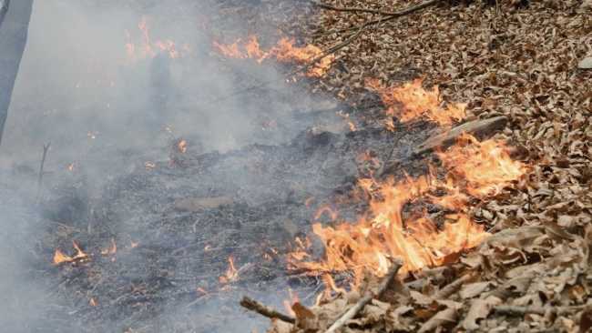 incendio brughiere gozzano