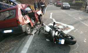 incidentepettenasco18.3.15