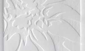 laboratoriocalcografico270