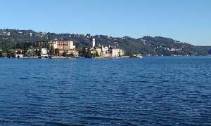 lagodortadispersoo