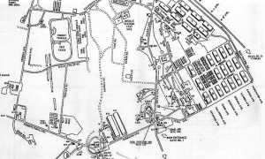letterkenny campo