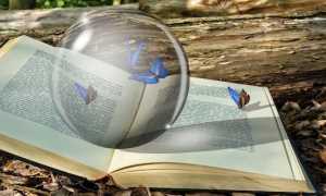libro favole