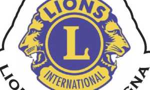 lions omegna