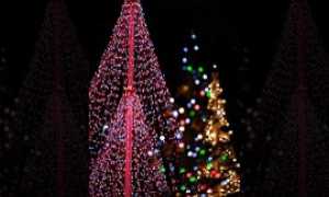 luminariePERGRAVELLONATOCE270