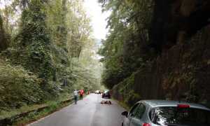 massi sulla provinciale