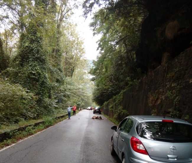 massi sulla provinciale