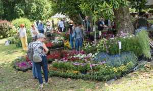 menta e rosmarino repertorio