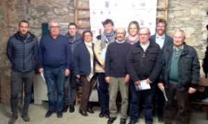 orta challenge organizz