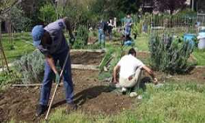 orti oasidellavita190