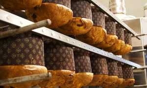 panettoni natale