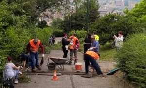 parco europa volontari