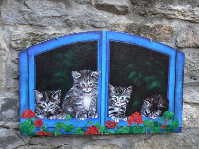 particolare strecia gat brolo