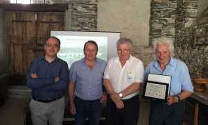 pettenasco intro grattagamul