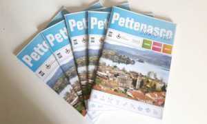 pettenasco guida