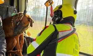 photo 2024 12 17 16 09 21