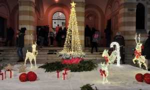 photo 2025 12 06 09 14 58