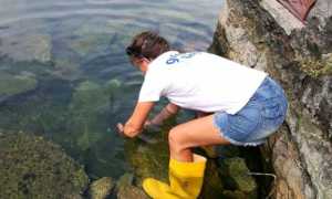 prelievo microbiologico